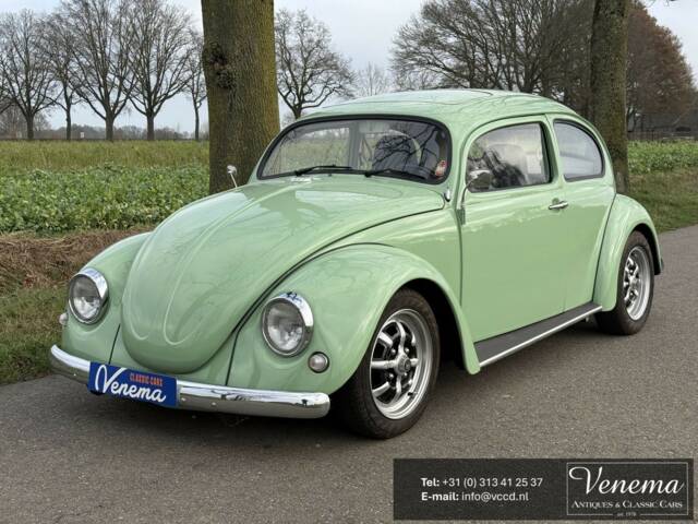 Image 1/12 de Volkswagen Coccinelle 1600 (1968)