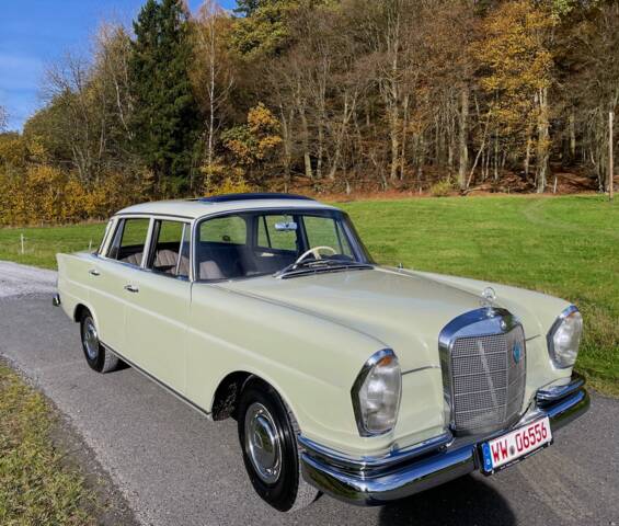 Bild 1/17 von Mercedes-Benz 220 b (1964)