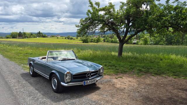 Bild 1/16 von Mercedes-Benz 280 SL (1970)