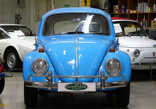 Bild 1/15 von Volkswagen Käfer 1300 (1966)