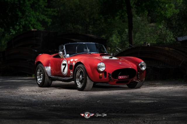 Bild 1/17 von Contemporary Classics Cobra 302 (1967)