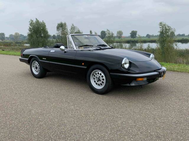 Image 1/8 of Alfa Romeo 1.6 Spider (1986)
