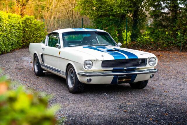 Image 1/27 of Ford Shelby GT 350 (1966)
