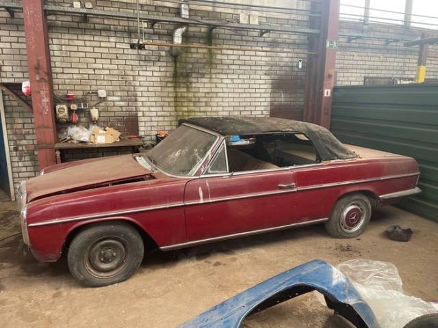 Bild 1/1 von Mercedes-Benz 250 CE (1970)
