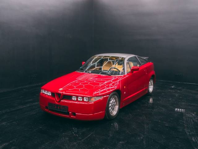 Afbeelding 1/50 van Alfa Romeo SZ (1991)