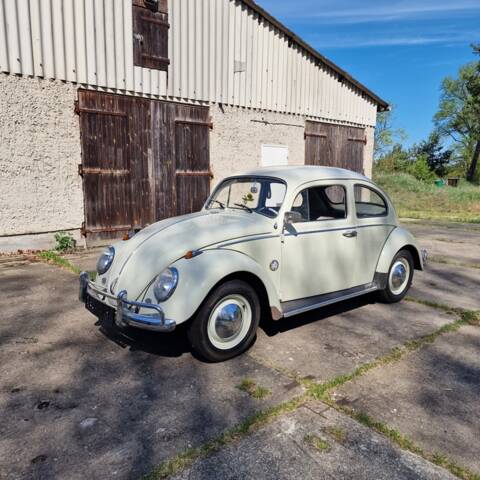 Bild 1/140 von Volkswagen Käfer 1200 Export "Dickholmer" (1963)