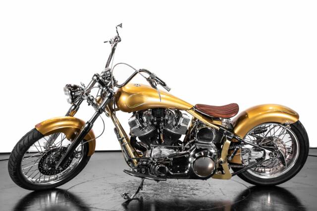 Afbeelding 1/37 van Harley-Davidson DUMMY (2009)