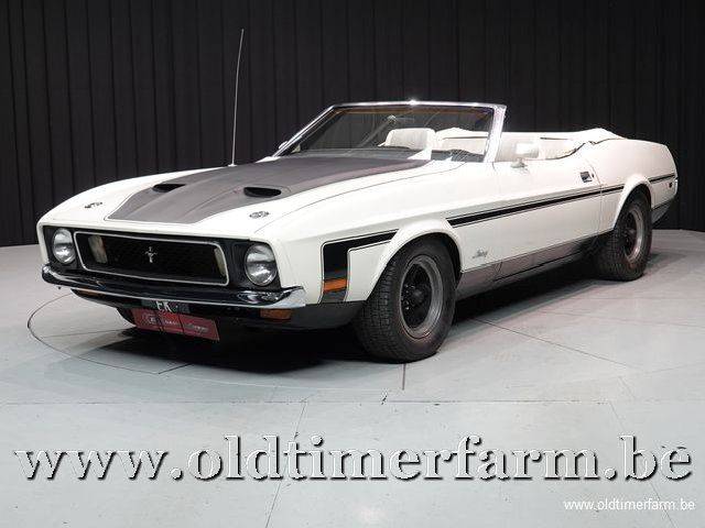 Image 1/2 of Ford Mustang 302 (1973)