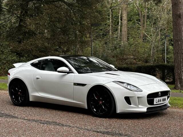 Bild 1/50 von Jaguar F-Type (2014)
