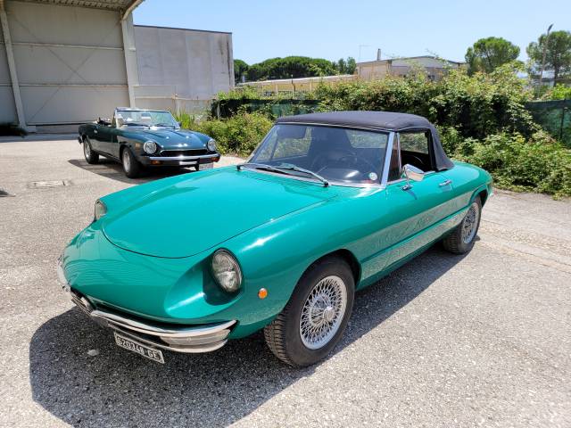 Image 1/13 of Alfa Romeo 1300 Spider Junior (1968)