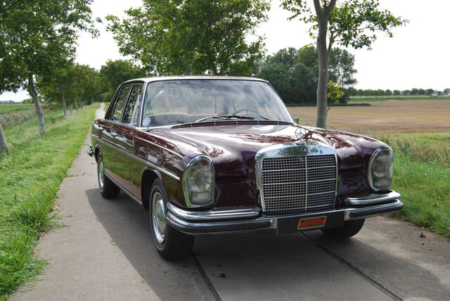 Bild 1/58 von Mercedes-Benz 280 SE (1968)
