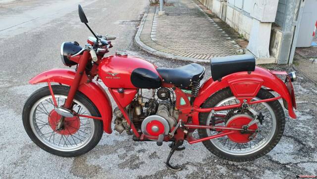 Bild 1/12 von Moto Guzzi DUMMY (1952)