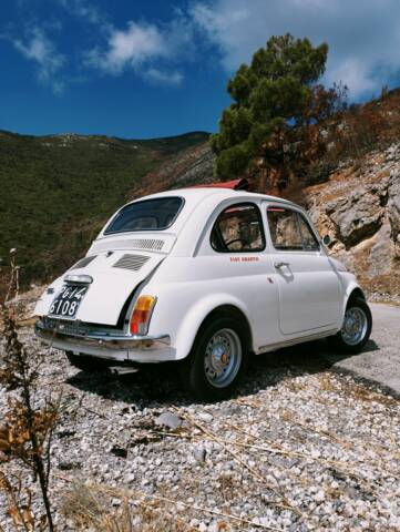 Bild 1/52 von FIAT 500 L (1969)