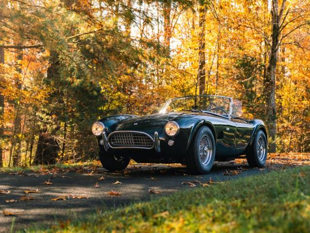 Image 1/39 of AC Cobra 289 (1964)