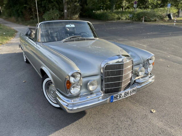 Bild 1/7 von Mercedes-Benz 280 SE (1969)