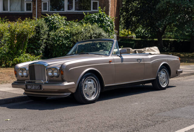 Image 1/32 de Bentley Continental (1992)