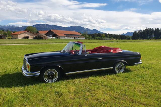 Image 1/53 de Mercedes-Benz 280 SE 3,5 (1970)