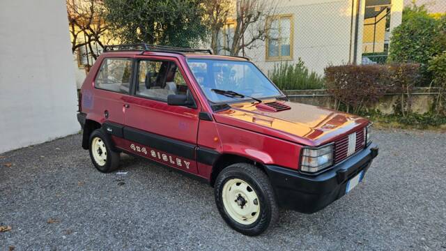 Immagine 1/28 di FIAT Panda 4x4 1,0 (1991)