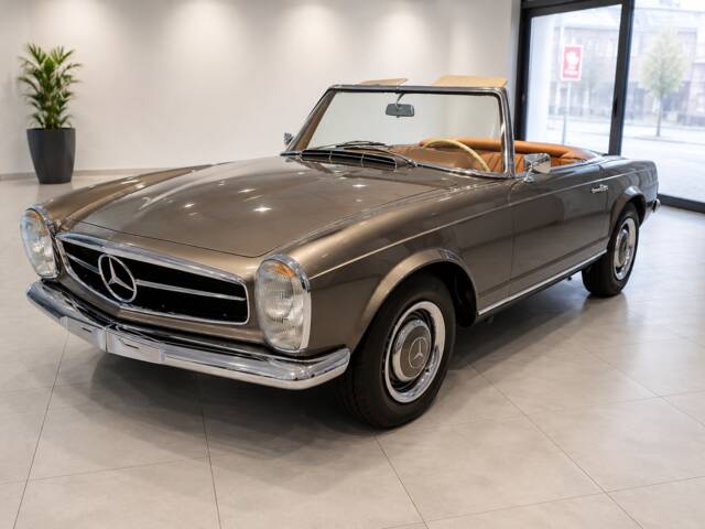 Bild 1/22 von Mercedes-Benz 230 SL (1966)