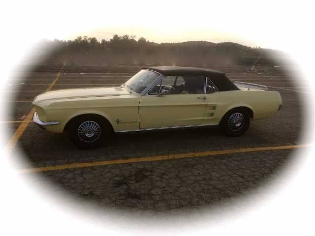 Image 1/15 of Ford Mustang 200 (1967)