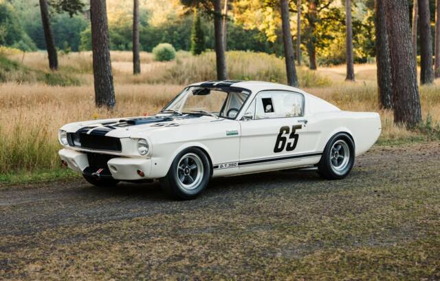 Image 1/19 of Ford Shelby GT 350 (1965)