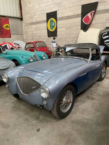 Image 1/15 of Austin-Healey 100/4 (BN1) (1954)