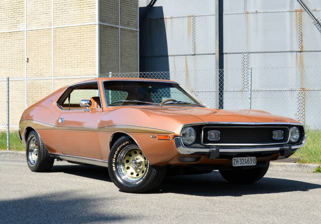 Image 1/32 de AMC Javelin (1973)