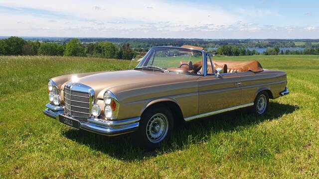 Image 1/39 de Mercedes-Benz 280 SE 3,5 (1969)