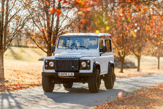 Image 1/49 of Land Rover Defender 90 (1994)