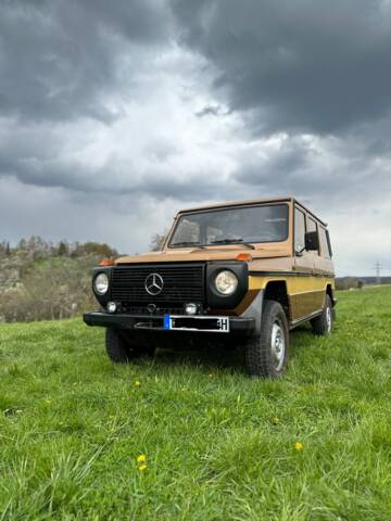 Bild 1/18 von Steyr-Puch 300 GD (lang) (1982)