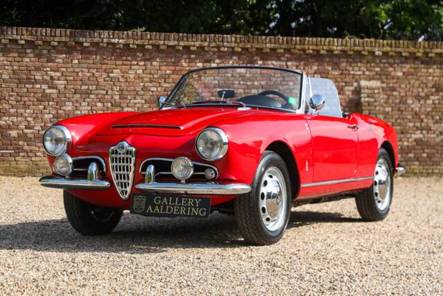 Bild 1/50 von Alfa Romeo Giulia 1600 Spider Veloce (1965)