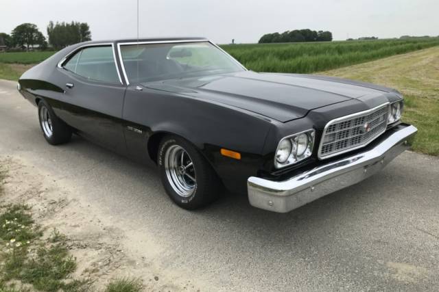 Bild 1/26 von Ford Gran Torino (1973)