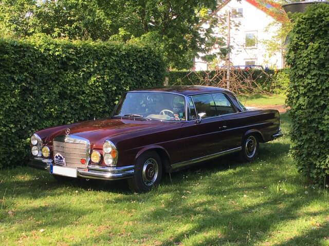 Bild 1/27 von Mercedes-Benz 280 SE 3,5 (1970)