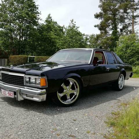 Imagen 1/10 de Chevrolet Caprice Classic Sedan (1978)