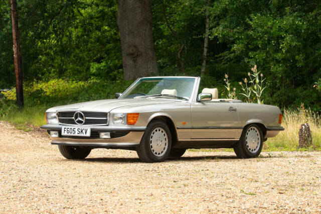Bild 1/50 von Mercedes-Benz 300 SL (1989)