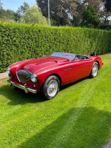 Bild 1/150 von Austin-Healey 100&#x2F;4 (BN1) (1955)