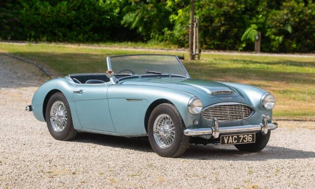 Bild 1/50 von Austin-Healey 100/6 (BN4) (1956)