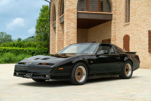 Afbeelding 1/50 van Pontiac Firebird TransAm (1989)