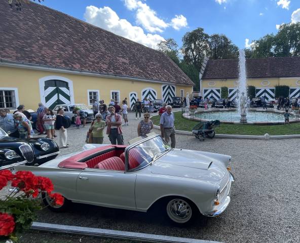 Afbeelding 1/10 van DKW Auto Union 1000 Special Roadster (1962)