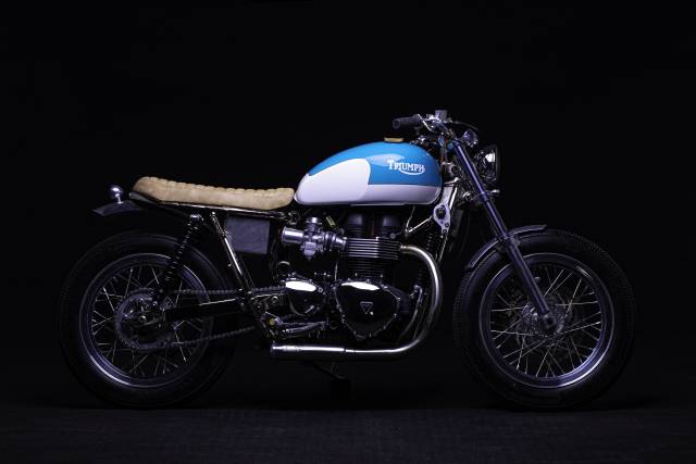 Bild 1/6 von Triumph DUMMY (2016)
