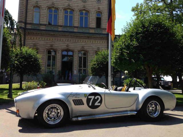 Image 1/25 of BRA Cobra (1972)