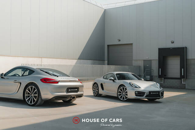 Immagine 1/45 di Porsche Cayman (2013)