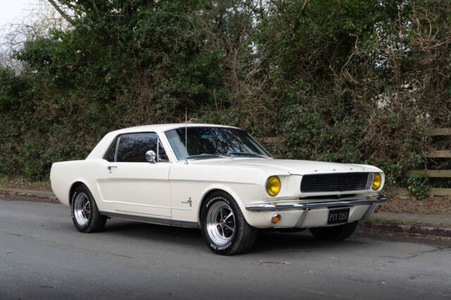 Bild 1/17 von Ford Mustang 302 (1966)