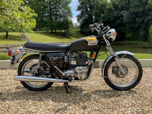 Image 1/42 de Triumph DUMMY (1975)