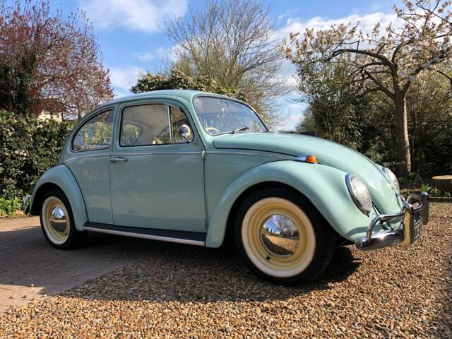 Bild 1/6 von Volkswagen Käfer 1200 (1965)