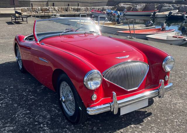 Immagine 1/21 di Austin-Healey 100/4 (BN1) (1954)