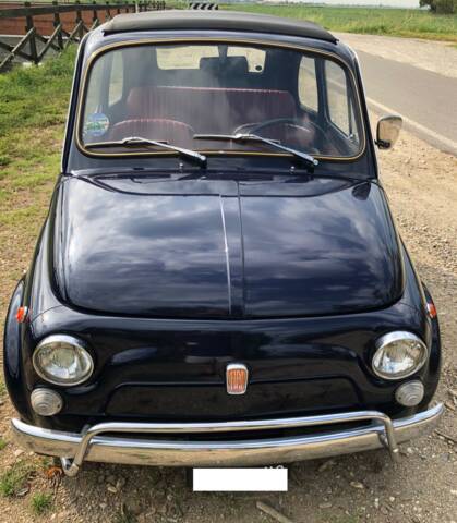 Bild 1/25 von FIAT 500 L (1970)