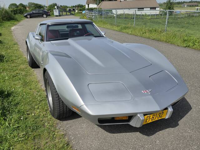 Afbeelding 1/8 van Chevrolet Corvette Sting Ray (1979)