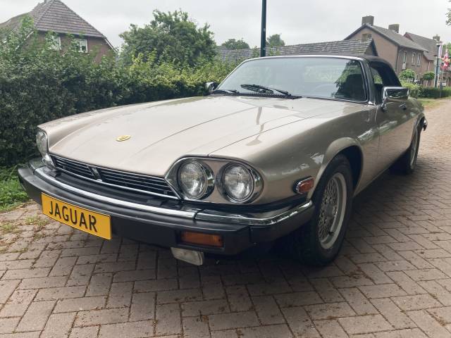 Www.ClassicCarSharks.com