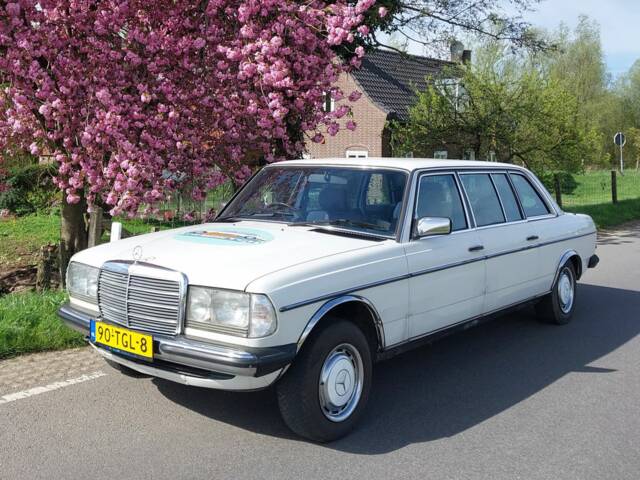 Image 1/8 of Mercedes-Benz 250 lang (1984)